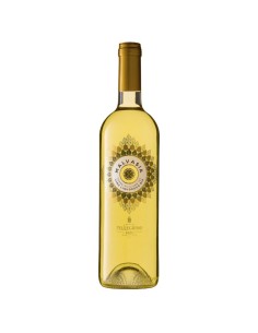Malvasia liquoroso Duca di...