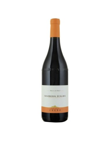 Barbera d'Alba Bricco dei Merli Elvio...