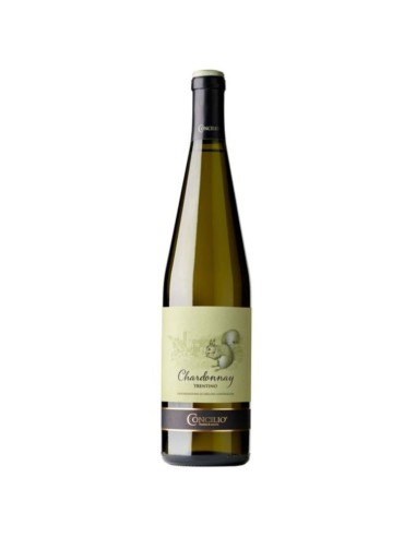 Chardonnay Trentino DOC Concilio 2024...
