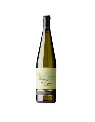 Pinot Grigio Nativi Concilio 2023 75 cl