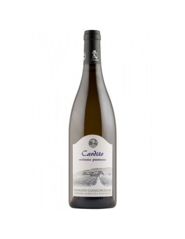Malvasia IGT Puntinata Cardito bio Donato Giangirolami 2024