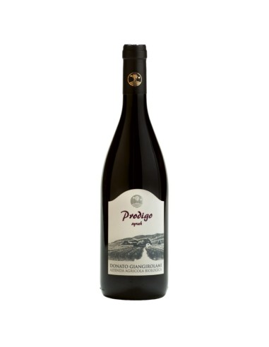 Syrah IGT Prodigo bio Donato...