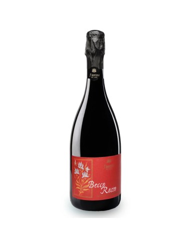 Lambrusco Grasparossa di Castelvetro...