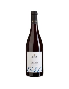 Pinot Nero DOC H.Lun 2024...