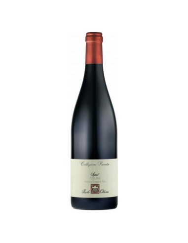 Syrah Collezione Privata Isole e Olena 2019 75 cl