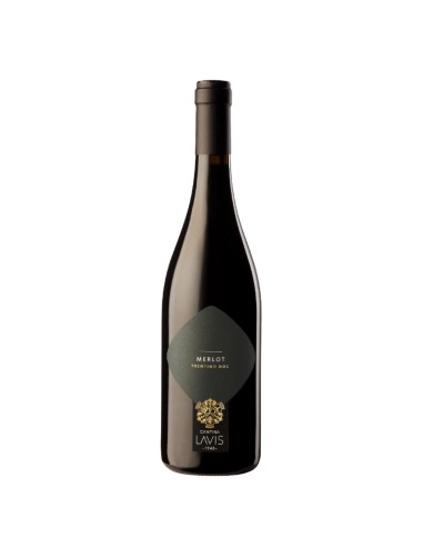 Merlot  DOC La Vis 2021