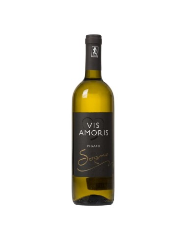 Pigato Sogno Visamoris BIO 2020 75 cl