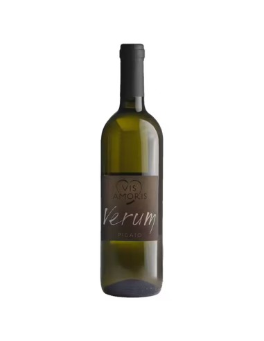 Pigato DOC Verum Visamoris bio 2025...