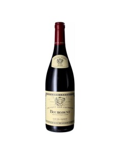 Bourgogne Pinot Nero Louis Jadot