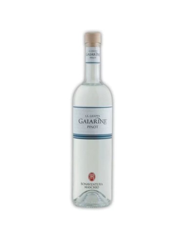 Grappa Gaiarine Pinot