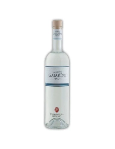 Grappa Gaiarine Pinot 70 cl