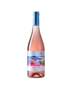 Pinot Grigio Ramato Attems