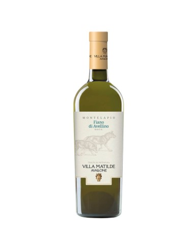 Fiano di Avellino DOCG Tenute d’Altavilla Villa Matilde 2023 75 cl