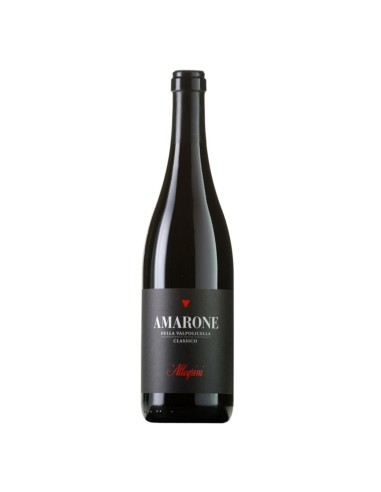 Amarone della Valpolicella Classico DOCG Allegrini