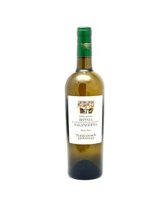Falanghina IGT  Terredora Di Paolo