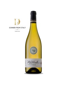 Trebbiano d’Abruzzo DOC Masciarelli