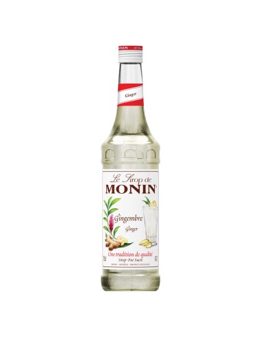 Monin Sciroppo allo zenzero