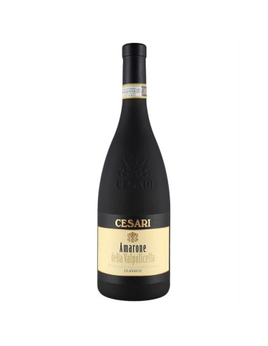 Amarone Della Valpolicella DOCG Cesari