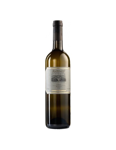 Antinoo Lazio bianco IGT Casale del Giglio