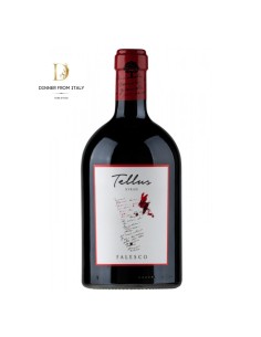Syrah Tellus Falesco magnum 2019 1,5 lt