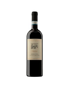 Barbera d Alba DOC Gallina Spinetta