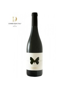 Montepulciano D'Abruzzo Colline Teramane DOCG Apollo Ausonia 2018 75 cl