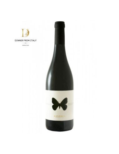 Montepulciano D'Abruzzo Colline Teramane DOCG Apollo Ausonia 2018 75 cl