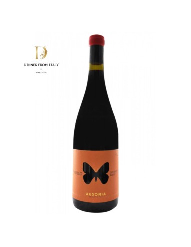 Colli Aprutini Rosso Apollo Ausonia 2019