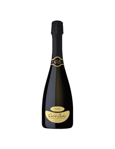 Valdobbiadene Prosecco Superiore Extra Dry DOCG Col de' Salici 2022 75 cl