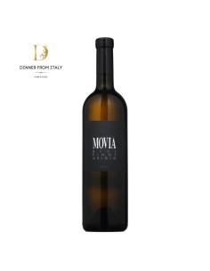 Pinot Grigio Movia bio