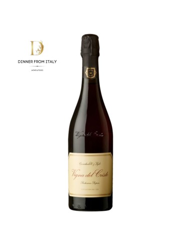Lambrusco Di Sorbara Frizzante Secco DOC Vigna del Cristo Cavicchioli 2022 75cl