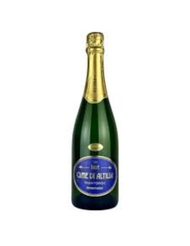Spumante Cime di Altilia Brut Millesimato Trento Conti Riccati Doc 75 cl
