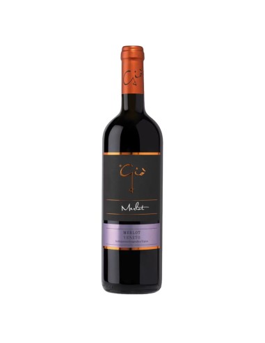 Merlot Gio IGT Ponte 2023 75 cl