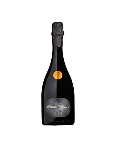Lambrusco Frizzante IGT Otello Ceci