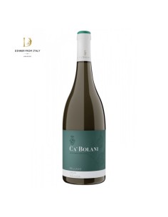 Friulano Ca' Bolani 2025 75cl