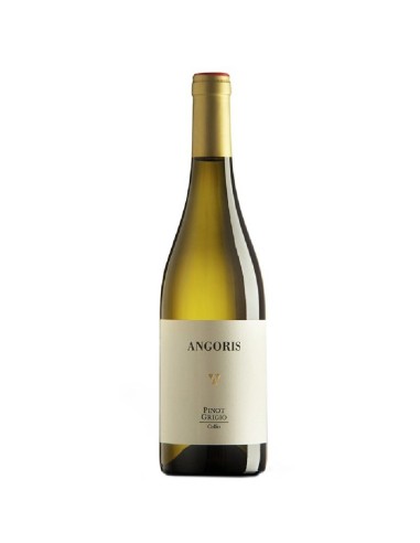 Pinot Grigio Collio DOC Angoris