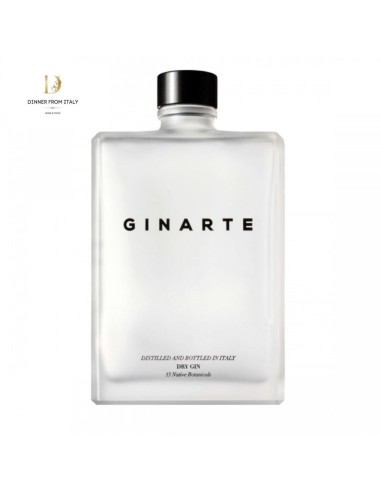Gin GinArte