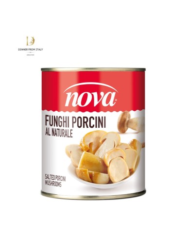 Funghi porcini al naturale Novi