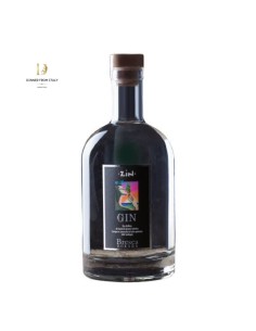 Gin Zin 40° Bresca Dorada 70 cl