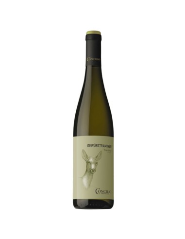 Gewurtztraminner Trentino DOC Concilio 2023 75 cl
