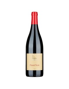 Pinot Nero DOC Terlan 2025...