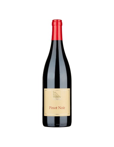 Pinot Nero DOC Terlan 2022 75 cl